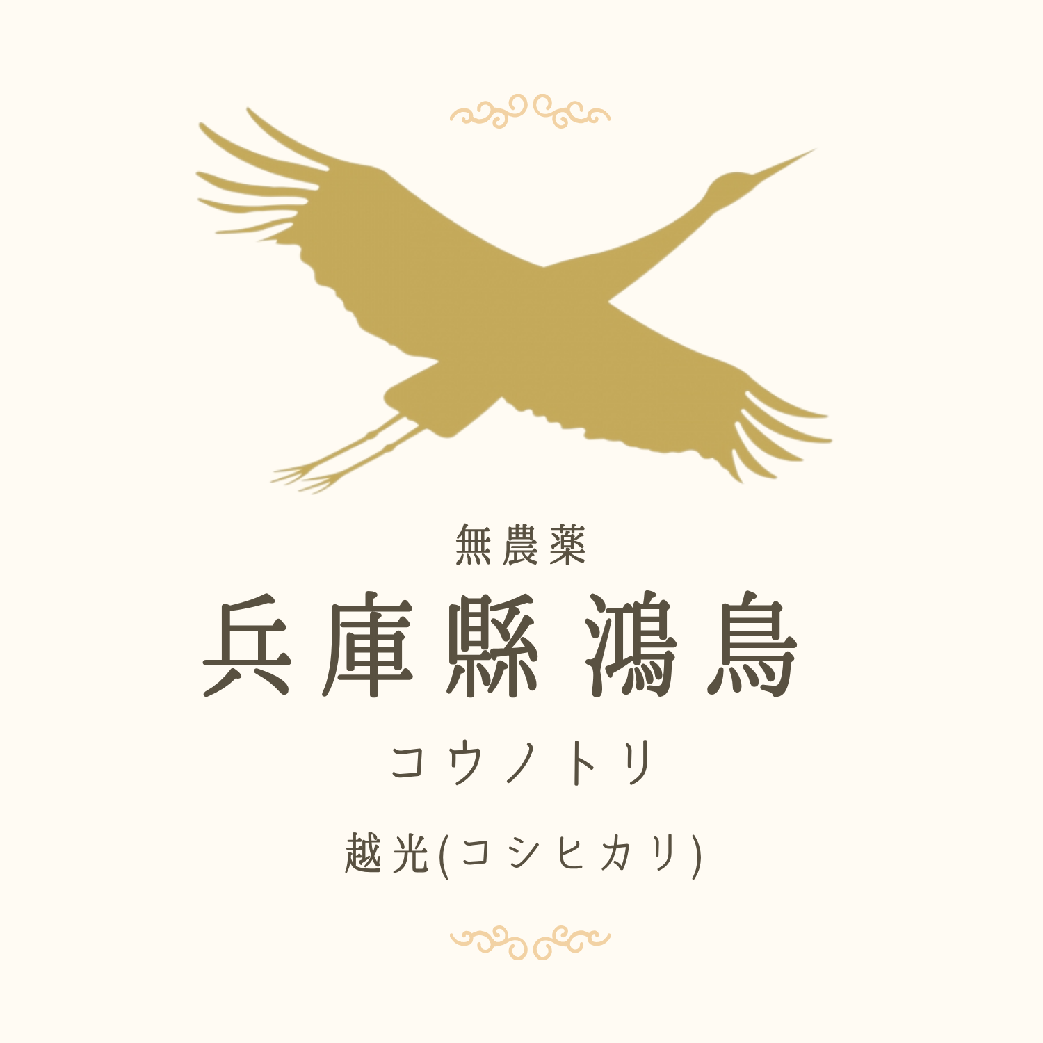 【2025年】兵庫県 コウノトリ（コシヒカリ）無農藥
