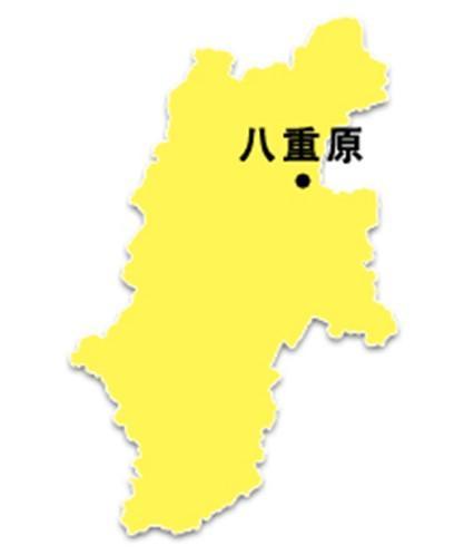 20160219 134326 2 l